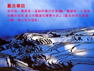 藍白梯田 梯田每一層都是一道細碎精巧的漣漪， 每一叠都是一片清淨 如鱗的波紋， 當日光飄蕩在層層水波之上， 藍色的碎片綴滿 山體，滿山流光溢彩。 