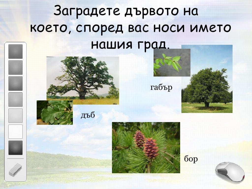моят роден край