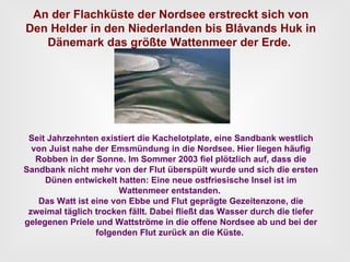 An der Flachküste der Nordsee erstreckt sich von Den Helder in den Niederlanden bis Blåvands Huk in Dänemark das größte Wattenmeer der Erde.  Seit Jahrzehnten existiert die Kachelotplate, eine Sandbank westlich von Juist nahe der Emsmündung in die Nordsee. Hier liegen häufig Robben in der Sonne. Im Sommer 2003 fiel plötzlich auf, dass die Sandbank nicht mehr von der Flut überspült wurde und sich die ersten Dünen entwickelt hatten: Eine neue ostfriesische Insel ist im Wattenmeer entstanden.  Das Watt ist eine von Ebbe und Flut geprägte Gezeitenzone, die zweimal täglich trocken fällt. Dabei fließt das Wasser durch die tiefer gelegenen Priele und Wattströme in die offene Nordsee ab und bei der folgenden Flut zurück an die Küste.  