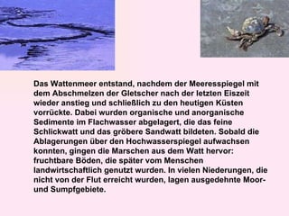 Das Wattenmeer entstand, nachdem der Meeresspiegel mit dem Abschmelzen der Gletscher nach der letzten Eiszeit wieder anstieg und schließlich zu den heutigen Küsten vorrückte. Dabei wurden organische und anorganische Sedimente im Flachwasser abgelagert, die das feine Schlickwatt und das gröbere Sandwatt bildeten. Sobald die Ablagerungen über den Hochwasserspiegel aufwachsen konnten, gingen die Marschen aus dem Watt hervor: fruchtbare Böden, die später vom Menschen landwirtschaftlich genutzt wurden. In vielen Niederungen, die nicht von der Flut erreicht wurden, lagen ausgedehnte Moor- und Sumpfgebiete.  