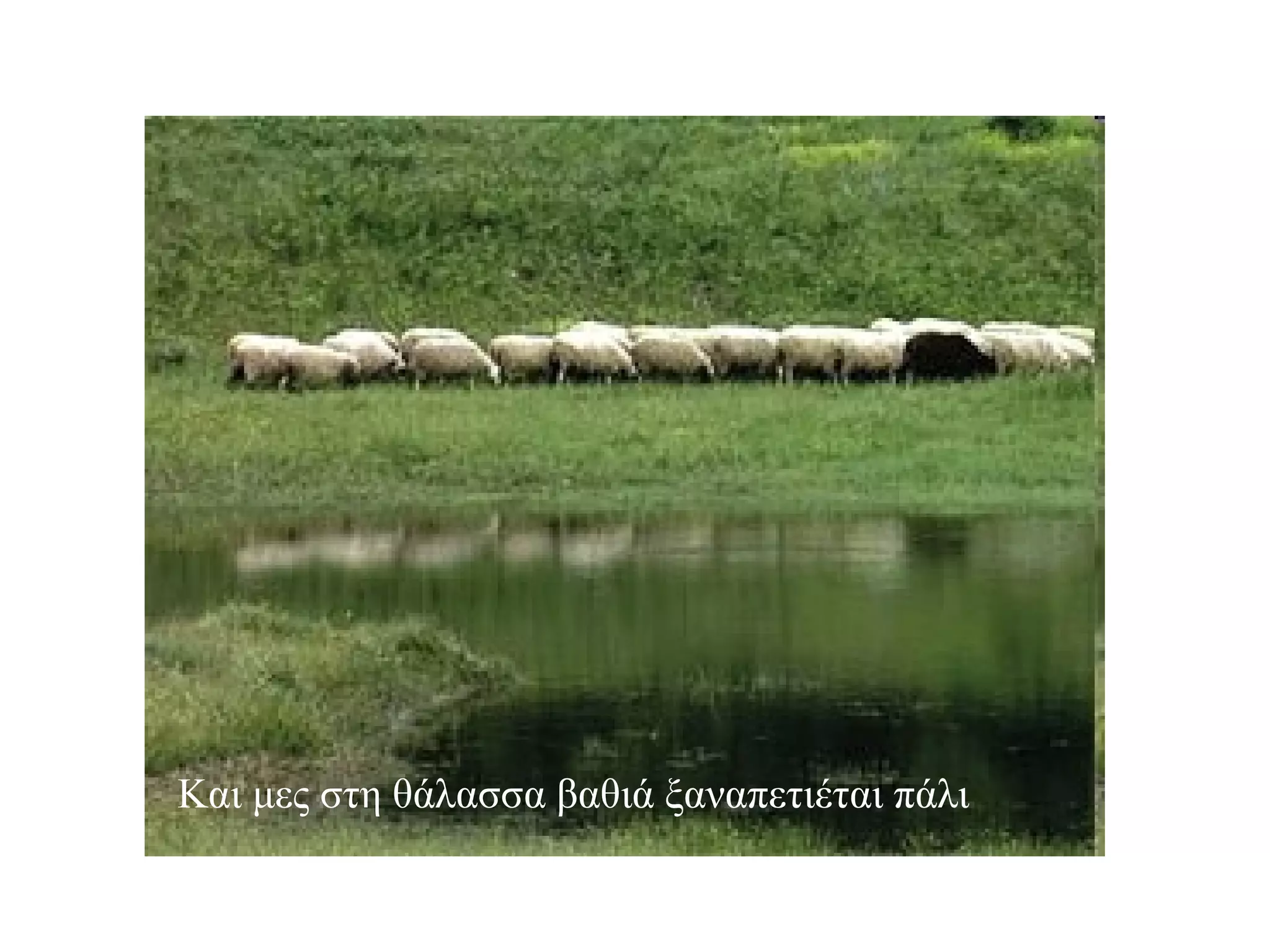 Και μες στη θάλασσα βαθιά ξαναπετιέται πάλι 