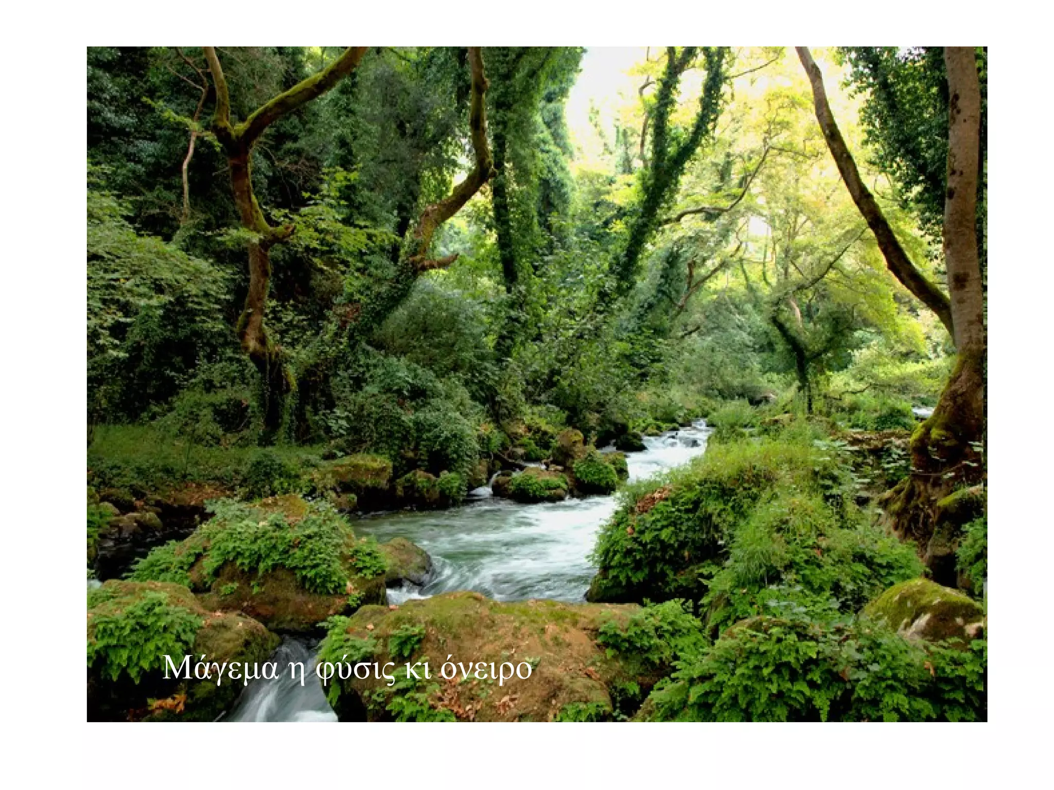 Μάγεμα η φύσις κι όνειρο 