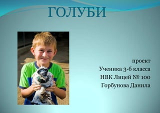 Голуби | PPT