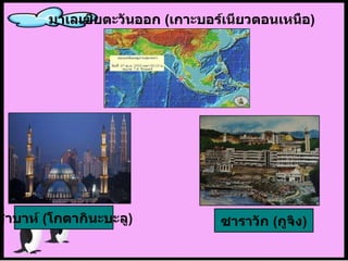 มาเลเซียตะวันออก   ( เกาะบอร์เนียวตอนเหนือ ) ซาบาห์   ( โกตากินะบะลู ) ซาราวัก   ( กูจิง ) 