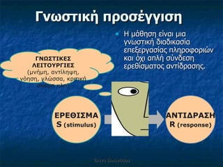 Γνωστική προσέγγιση Η μάθηση είναι μια γνωστική διαδικασία επεξεργασίας πληροφοριών και όχι απλή σύνδεση ερεθίσματος αντίδρασης.  Έλενα Ελληνιάδου ΑΝΤΙΔΡΑΣΗ R  (response) ΕΡΕΘΙΣΜΑ S  (stimulus) ΓΝΩΣΤΙΚΕΣ ΛΕΙΤΟΥΡΓΙΕΣ (μνήμη, αντίληψη, νόηση, γλώσσα, κριτική σκέψη κλπ) 