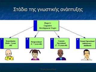 Στάδια της γνωστικής ανάπτυξης Έλενα Ελληνιάδου 