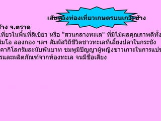 อำเภอเกาะช้าง จ . ตราด เป็น การท่องเที่ยวในพื้นที่สีเขียว หรือ   " สวนกลางทะเล "  ที่มีไม้ผลคุณภาพดีทั้งทุเรียน มังคุด เงาะ ส้มโอ ลองกอง ฯลฯ สัมผัสวิถีชีวิตชาวทะเลที่เลี้ยงปลาในกระชัง  ขายปลาได้ราคากิโลกรัมละนับพันบาท ชมพูมิปัญญาผู้หญิงชาวเกาะในการแปรรูป ผลผลิตเกษตรและผลิตภัณฑ์จากท้องทะเล จนมีชื่อเสียง   เส้นทางท่องเที่ยวเกษตรบนเกาะช้าง 