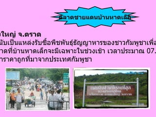 อำเภอคลองใหญ่ จ . ตราด ตลาด แห่งนี้นับเป็นแหล่งรับซื้อพืชพันธุ์ธัญญาหารของชาวกัมพูชาเพื่อไปขายต่อ  ที่เกาะกง ตลาดที่บ้านหาดเล็กจะมีเฉพาะในช่วงเช้า เวลาประมาณ  07.00–08.30  น .  และยังมีสินค้าราคาถูกที่มาจากประเทศกัมพูชา   ตลาดชายแดนบ้านหาดเล็ก 