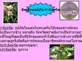 ตราประจำจังหวัด :  รูปเรือใบแล่นในทะเลกับโป๊ะของชาวประมง เบื้องหลังเป็นเกาะช้าง หมายถึง จังหวัดตราดมีเกาะเป็นจำนวนมาก และเกาะที่ใหญ่ที่สุดเป็นที่รู้จักของคนทั่วไปคือเกาะช้างการที่มีพื้นที่ ติดกับทะเลราษฎรจึงยึดถือการประมงเป็นอาชีพหลักมาแต่โบราณ  ดอกไม้ประจำจังหวัด : ดอกกฤษณา  ต้นไม้ประจำจังหวัด :  หูกวาง  สัญลักษณ์ประจำจังหวัด 