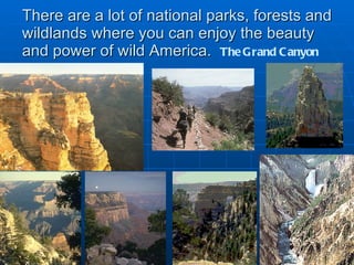 There are a lot of national parks, forests and wildlands where you can enjoy the beauty and power of wild America.  The Gr...