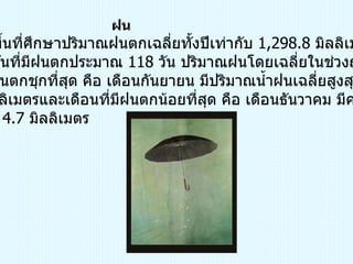 ฝน บริเวณพื้นที่ศึกษาปริมาณฝนตกเฉลี่ยทั้งปีเท่ากับ  1,298.8  มิลลิเมตร มีจำนวนวันที่มีฝนตกประมาณ  118  วัน ปริมาณฝนโดยเฉลี่ยในช่วงฤดูฝน  เดือนที่มีฝนตกชุกที่สุด คือ เดือนกันยายน มีปริมาณน้ำฝนเฉลี่ยสูงสุดเท่ากับ  281.7  มิลลิเมตรและเดือนที่มีฝนตกน้อยที่สุด คือ เดือนธันวาคม มีค่าเฉลี่ยต่ำ สุดเท่ากับ  4.7  มิลลิเมตร 