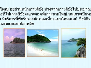 เกาะขามใหญ่  อยู่ด้านหน้าเกาะสีชัง ห่างจากเกาะสีชังไปประมาณ ๕ นาที  เรือโดยสารที่ไปเกาะสีชังจะแวะจอดที่เกาะขามใหญ่ บนเกาะเป็นหมู่บ้าน ชาวประมง มีบริการที่พักรับรองนักท่องเที่ยวแบบโฮมสเตย์ ซึ่งมีกิจกรรมตกปลา หาหอยนางรมและตกปลาหมึก  