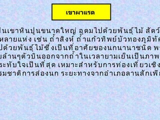 เขา ผาแรด เป็นเขาหินปูนขนาดใหญ่ อุดมไปด้วยพันธุ์ไม้ สัตว์ป่า มีถ้ำสวยงามหลายแห่ง เช่น ถ้ำสิงห์ ถ้ำแก้วทิพย์บัวทองภูมิทัศน์ รอบเขาเต็มไปด้วยพันธุ์ไม้ซึ่งเป็นที่อาศัยของนกนานาชนิด พร้อมกับ ฝูงค้างคาวนับล้านๆตัวบินออกจากถ้ำในเวลายามเย็นเป็นภาพที่หาชมได้  ยาก และน่าประทับใจเป็นที่สุด เหมาะสำหรับการท่องเที่ยวเชิงอนุรักษ์ การศึกษาธรรมชาติการส่องนก ระยะทางจากอำเภอลานสักเพียง  13  กม .   เขาผาแรด   