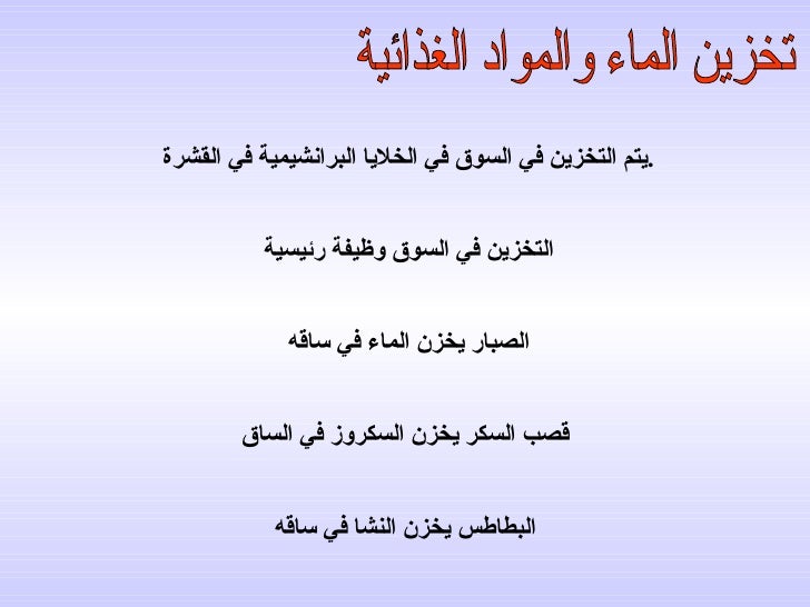 أميرة سلالة حاكمة أرنبة وظيفة الاوراق في النبات 41clubmorocco Org