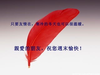只要友情在， 寒冷的冬天也可以很溫暖。 親愛的朋友，祝您週末愉快！ 