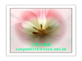 幻燈片 編輯 [email_address] 