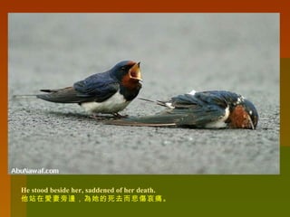 He stood beside her, saddened of her death.  他站在愛妻旁邊，為她的死去而悲傷哀痛。 