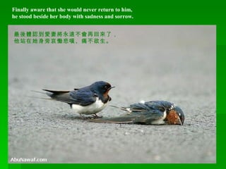 Finally aware that she would never return to him,  he stood beside her body with sadness and sorrow.  最後體認到愛妻將永遠不會再回來了， 他站在她身旁哀慟悲嘆、痛不欲生。 