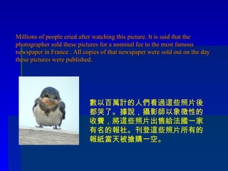 Millions of people cried after watching this picture. It is said that the photographer sold these pictures for a nominal fee to the most famous newspaper in France . All copies of that newspaper were sold out on the day these pictures were published. 數以百萬計的人們看過這些照片後都哭了。據說，攝影師以象徵性的收費，將這些照片出售給法國一家有名的報社。刊登這些照片所有的報紙當天被搶購一空。 
