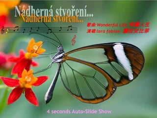 歌曲:Wonderful Life 美麗人生
               演唱:lara fabian 蘿拉安比菲




4 seconds Auto-Slide Show
 