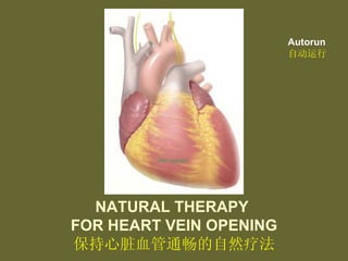 NATURAL THERAPY  FOR HEART VEIN OPENING 保持心脏血管通畅的自然疗法 Autorun 自动运行 