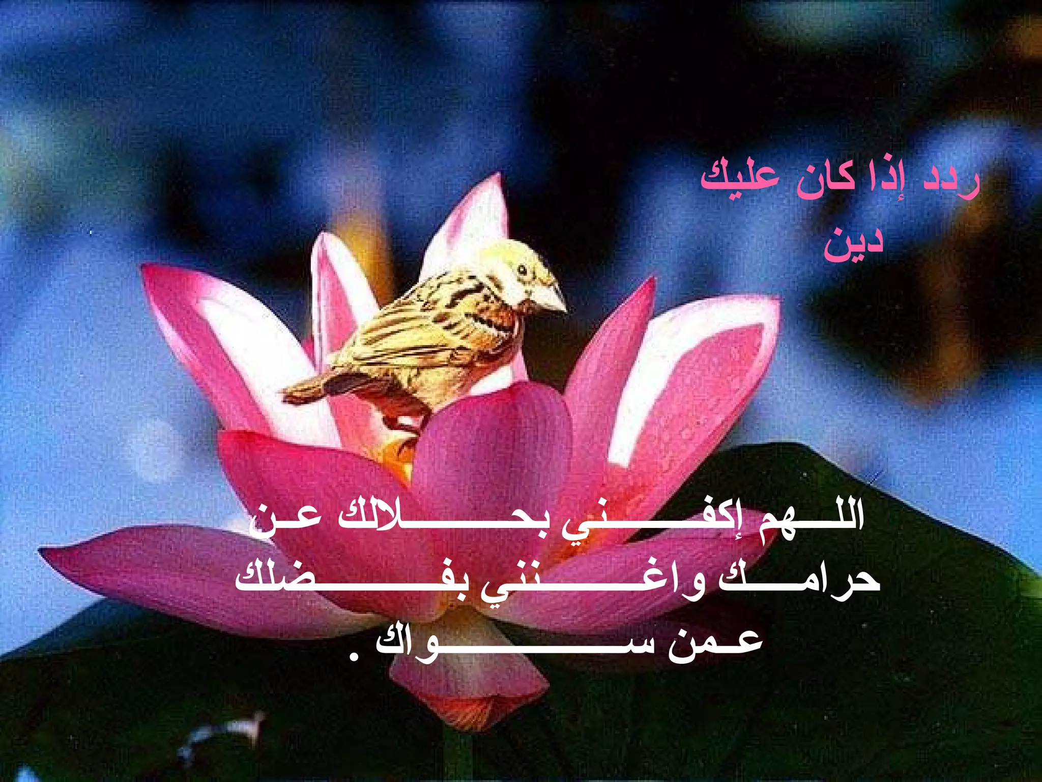 اللـــهم إكفـــــــــني بحــــــــــلالك عــن حرامـــــك واغــــــــــنني بفــــــــــــضلك عــمن ســــــــــــــــــواك  . ردد إذا كان عليك دين  