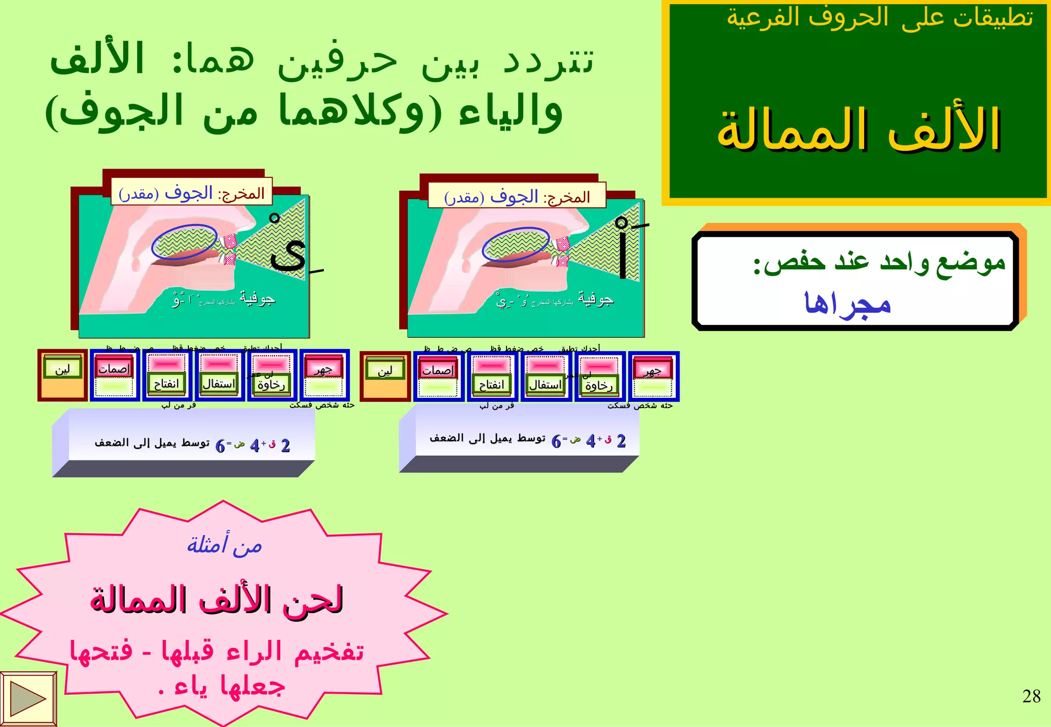 الألف الممالة تتردد بين حرفين هما :  الألف والياء  ( وكلاهما من الجوف ) تطبيقات على   الحروف الفرعية  موضع واحد عند حفص : مجراها من أمثلة لحن الألف الممالة تفخيم الراء قبلها  -  فتحها جعلها ياء  . َاْ جوفية  يشاركها المخرج  ُوْ  -  ِيْ المخرج :  الجوف  ( مقدر ) 2  ق   +  4  ض   =  6  توسط يميل إلى الضعف استفال انفتاح إصمات رخاوة جهر لين أجدك تطبق  خص ضغط قظ  ص ض ط  ظ لن عمر حثه شخص فسكت    فر من لب 2  ق   +  4  ض   =  6  توسط يميل إلى الضعف استفال انفتاح إصمات رخاوة جهر لين ِىْ جوفية  يشاركها المخرج ْ َا  - ُوْ المخرج :  الجوف  ( مقدر ) أجدك تطبق  خص ضغط قظ  ص ض ط  ظ لن عمر حثه شخص فسكت    فر من لب 