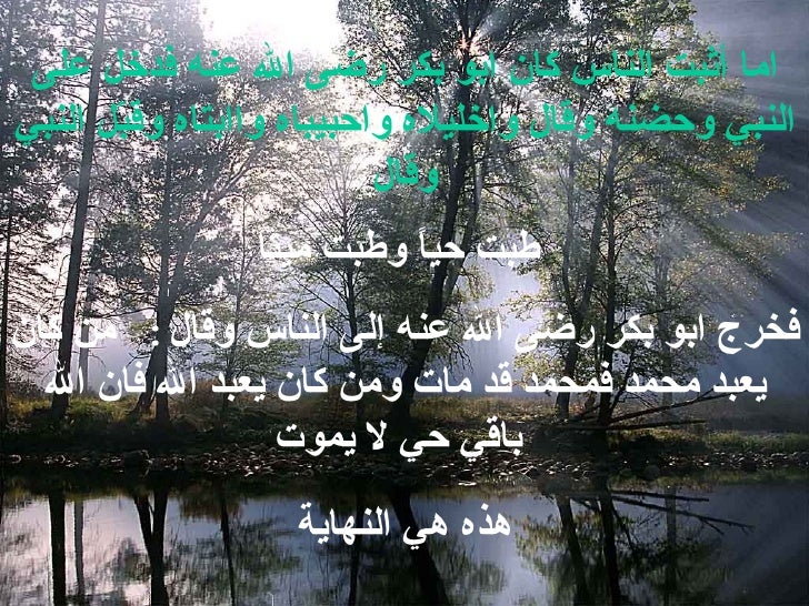 قبس من نور النبوة