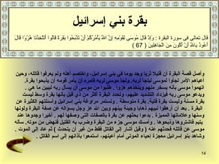 بقرة بني إسرائيل وأصل قصة البقرة أن قتيلا ثريا وجد يوما في بني إسرائيل، واختصم أهله ولم يعرفوا قاتله، وحين  أعياهم الأمر لج أ وا لموسى ليلجأ لربه .  ولجأ موسى لربه فأمره أن يأمر قومه أن يذبحوا بقرة .   اتهموا موسى بأنه يسخر منهم ويتخذهم هزوا   .  طلبوا من موسى أن يسأل ربه ليبين ما هي   .  ويدعو موسى ربه فيزداد التشديد عليهم، وتحدد البقرة أكثر من ذي قبل بأنها بقرة وسط   ليست  بقرة مسنة وليست بقرة فتية .  بقرة متوسطة   .  وتستمر مراوغة بني إسرائيل  وأسئلتهم الكثيرة عن البقرة  .   بعد أن أرهقوا نبيهم ذهابا وجيئة بينهم وبين الله عز وجل   بسؤاله عن صفة البقرة ولونها  وسنها وعلاماتها المميزة   .  بدءوا بحثهم عن بقرة  ب الصفات  التى وصفها لهم  .  أخيرا وجدوها عند يتيم فاشتروها وذبحوها   .  وأمسك موسى جزء من البقرة وضرب به القتيل فنهض من موته .  سأله  موسى عن قاتله فحدثهم   عنه  (   وقيل أشار إلى القاتل فقط من غير أن يتحدث   )  ثم عاد إلى الموت   .  وشاهد بنو إسرائيل معجزة إحياء الموتى أمام أعينهم، استمعوا بآذانهم إلى اسم القاتل   . قال تعالى فى سورة البقرة  :  وَإِذْ قَالَ مُوسَى لِقَوْمِهِ إِنَّ اللَّهَ يَأْمُرُكُمْ أَنْ تَذْبَحُوا بَقَرَةً قَالُوا أَتَتَّخِذُنَا هُزُوًا قَالَ أَعُوذُ بِاللَّهِ أَنْ أَكُونَ مِنَ الْجَاهِلِينَ  ( 67 ) 