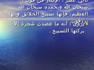 ثاني عشر  :  الإكثار من قول  :  سبحان الله وبحمده سبحان الله العظيم ،  فإنها تسبيح الخلائق و   بها يرزقون   يروى  :  أنه ما عضدت شجرة إلا بركتها   التسبيح   . 