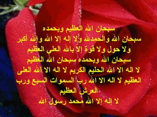 سبحان الله العظيم وبحمده سبحان الله والحمدلله ولا إله إلا الله والله أكبر   ولا حول ولا قوة إلا بالله العلي العظيم سبحان الله وبحمده سبحان الله العظيم لا اله الا الله الحليم الكريم لا اله الا الله العلى العظيم لا اله الا الله رب السموات السبع ورب العرش العظيم لا إله إلا الله محمد رسول الله 