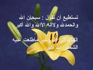 ‏ §        في ‏الدقيقة ‏الواحدة ‏تستطيع ‏أن ‏تقول  : ‏ سبحان ‏الله ‏والحمدلله ‏ولاآله ‏الأالله ‏والله ‏أكبر ‏ 18 ‏ مرة ‏وهذه ‏الكلمات ‏أحب ‏الكلام ‏الى ‏الله ‏وخيرُ ‏ماطلعت ‏عليه ‏الشمس ‏الله ‏أكبر     