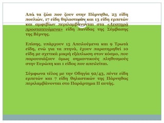 .Από τα ζώα που ζουν στην Πάρνηθα, 23 είδη πουλιών, 17 είδη θηλαστικών και 13 είδη ερπετών και αμφιβίων περιλαμβάνονται στα «Αυστηρά προστατευόμενα» είδη πανίδας της Σύμβασης της Βέρνης. Επίσης, υπάρχουν 15 Απειλούμενα και 9 Τρωτά είδη, ενώ για τα πτηνά, έχουν παρατηρηθεί 10 είδη με σχετικά μικρή εξάπλωση στον κόσμο, που παρουσιάζουν όμως σημαντικούς πληθυσμούς στην Ευρώπη και 1 είδος που απειλείται. Σύμφωνα τέλος με την Οδηγία 92/43, πέντε είδη ερπετών και 7 είδη θηλαστικών της Πάρνηθας περιλαμβάνονται στο Παράρτημα ΙΙ αυτής.