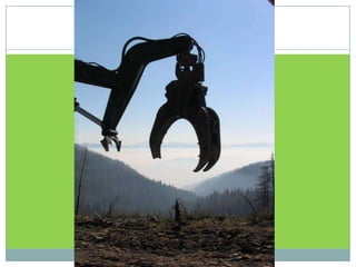 ΤΟ ΔΑΣΟΣ/ΤΙ ΚΑΗΚΕ ΣΤΗΝ ΠΑΡΝΗΘΑ