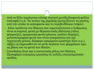Από το ξύλο παράγεται επίσης τεχνητό μετάξι,διαφανήφύλλα (σελοφάν) κ.ά. Τα πεύκα της χαμηλής ζώνης δίνουν τη ρητίνη, από την οποία το κολοφώνιο και το τερεβινθέλαιο (νέφτι) .Αλλαπροϊόντα του δάσους που εκμεταλλεύεται ο άνθρωπος είναι οι καρποί, φυτά με θεραπευτικές ιδιότητες (τίλιο, φλαμούρι), αρωματικά φυτά (ρίγανη, σαλέπι, θυμάρι), μελισσοτροφικά φυτά που είναι απαραίτητα για την παραγωγή μελιού, διάφορα εκκρίματα (μαστίχα Χίου κ.α.). Αξίζει να σημειωθεί ότι το 40% περίπου των φαρμάκων έχει ως βάση του τα φυτά των δασών.Σπουδαίος είναι και ο κοινωνικός ρόλος του δάσους. Προσφέρει ευκαιρίες εργασίας σε πολλές επαγγελματικές ομάδες.