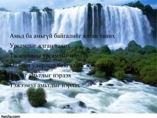 Амьд ба амьгүй байгалийг ялган таних 