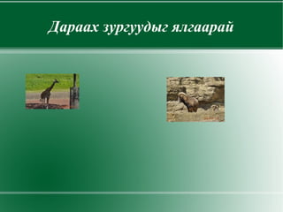 Ургамлыг ялган таних 