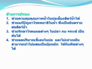 ด้านการประมงช่วยควบคุมคุณภาพน้ำในบ่อเลี้ยงสัตว์น้ำได้ช่วยแก้ปัญหาโรคพยาธิในน้ำ ซึ่งเป็นอันตรายต่อสัตว์น้ำช่วยรักษาโรคแผลต่างๆ ในปลา กบ จระเข้ เป็นต้นได้ช่วยลดปริมาณขี้เลนในบ่อ  และไม่เน่าเหม็น  สามารถนำไปผสมเป็นปุ๋ยหมัก  ใช้กับพืชต่างๆ ได้17