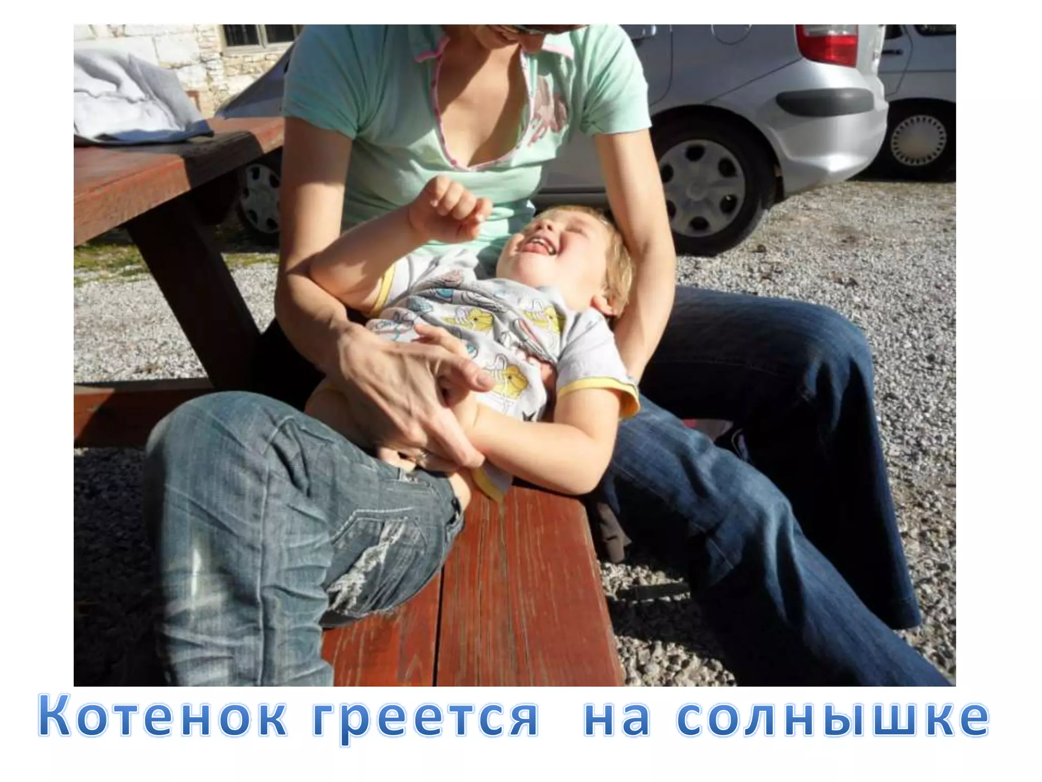 Котенок греется на солнышке