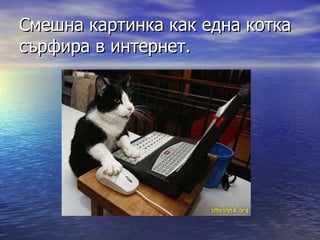 Смешна картинка как една котка сърфира в интернет. 