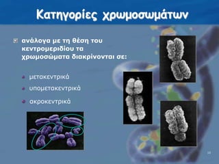 Κατηγορίες χρωμοσωμάτωνανάλογα με τη θέση του κεντρομεριδίου τα χρωμοσώματα διακρίνονται σε:  μετακεντρικά  υπομετακεντρικάακροκεντρικά10