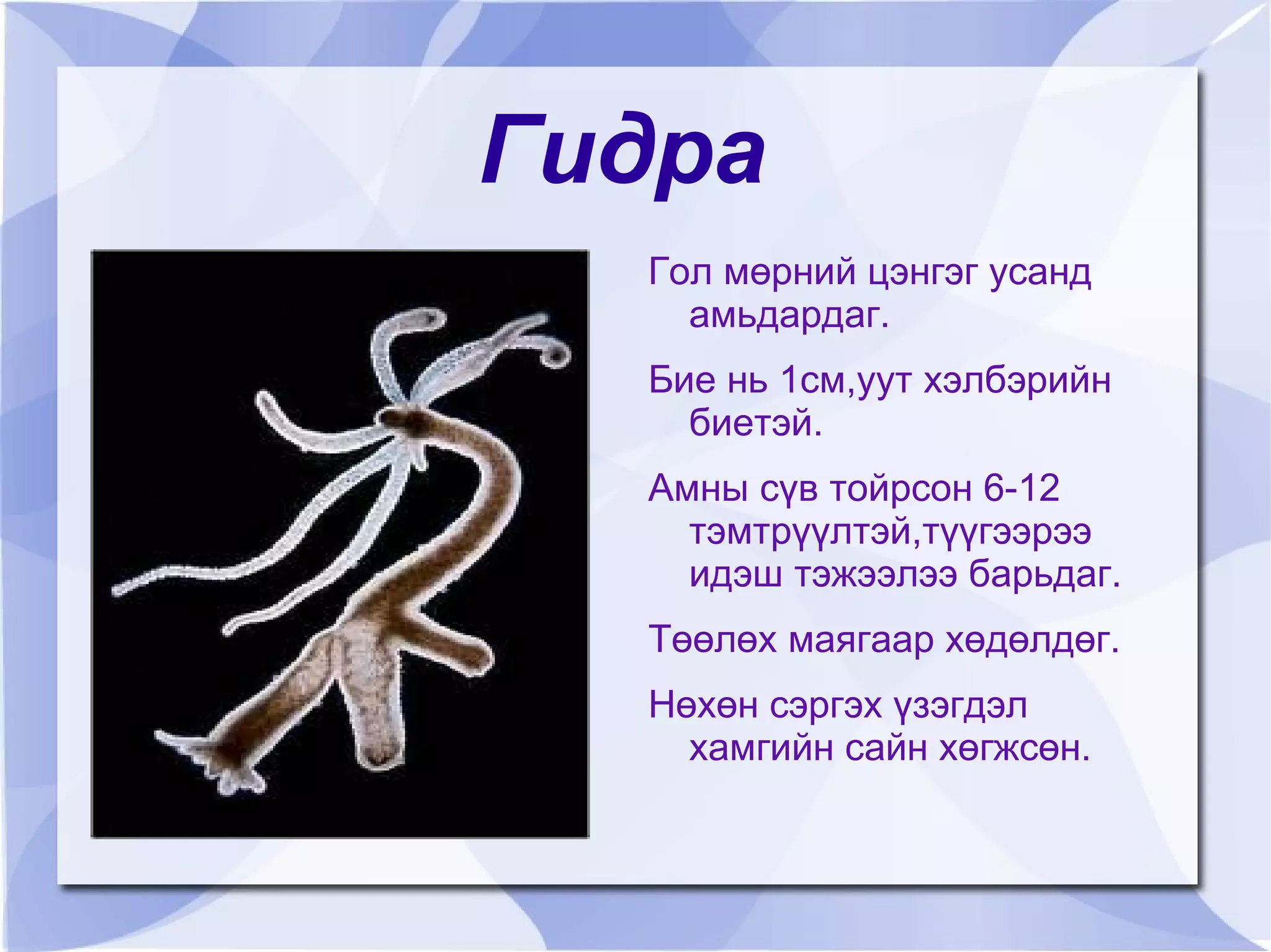 Ач холбогдлуудыг мэдсэнээр амьдралдаа ашигладаг болох Зорилт 