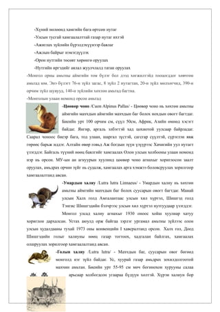 -Хүний нөлөөнд хамгийн бага өртсөн нутаг
   -Улсын тусгай хамгаалалттай газар нутаг ихтэй
   -Ажиглах зүйлийн бүрэлдэхүүнээр баялаг
   -Ажлын байрыг нэмэгдүүлэх
   -Орон нутгийн төсөвт хөрөнгө оруулах
   -Нутгийн иргэдийг аялал жуулчлалд татан оруулах
-Монгол орны амьтны аймгийн том бүлэг бол дээд хөгжилтэйд тооцогддог хөвчтөн
амьтад юм. Энэ бүлэгт 76-н зүйл загас, 8 зүйл 2 нутагтан, 20-н зүйл мөлхөгчид, 390-н
орчим зүйл шувууд, 140-н зүйлийн хөхтөн амьтад багтна.
-Монголын улаан номонд орсон амьтад
                 -Цөөвөр чоно /Cuon Alpinus Pallas/ - Цөөвөр чоно нь хөхтөн амьтны
                 аймгийн махчдын аймгийн махчдын баг болох нохдын овогт багтдаг.
                 Биеийн урт 100 орчим см, сүүл 50см, Африк, Азийн өмнөд хэсэгт
                 байдаг. Янгир, аргаль элбэгтэй хад цохиотой уулсаар байрладаг.
Саарал чоноос биеэр бага, тод улаан, шаргал зүстэй, сагсгар сүүлтэй, сүрэглэн явж
гөрөөс барьж иддэг. Алтайн өвөр говьд Аж богдын зүүн үзүүрээс Хачигийн уул нутагт
үзэгддэг. Байгаль түүний нөөц баялгийг хамгаалах Олон улсын холбооны улаан номонд
нэр нь орсон. МУ-ын ан агнуурын хуулинд цөөвөр чоно агнахыг хориглосон заалт
оруулах, амьдрах орчин зүйг нь судалж, хамгаалах арга хэмжээ боловсруулах зорилгоор
хамгаалалтанд авсан.
                 -Умардын халиу /Lutra lutra Linnaeus/ - Умардын халиу нь хөхтөн
                 амьтны аймгийн махчдын баг болох суусарын овогт багтдаг. Манай
                 улсын Халх голд Амгалантаас улсын хил хүртэл, Шишгэд голд
                 Тэнгис Шишгэдийн бэлчрээс улсын хил хүртэл нутгуудаар үзэгддэг.
                 Монгол улсад халиу агнахыг 1930 оноос хойш хуулиар хатуу
хориглон дархалсан. Устах аюулд орж байгаа зэрлэг ургамал амьтны зүйлээс олон
улсын худалдааны тухай 1973 оны конвенцийн I хавсралтанд орсон. Халх гол, Доод
Шишгэдийн голыг халиуны нөөц газар тогтоох, хадгалан байлгах, хамгаалах
олшруулах зорилгоор хамгаалалтанд авсан.
              -Голын халиу /Lutra lutra/ - Махчдын баг, суусарын овог бөгөөд
              монголд нэг зүйл байдаг. Ус, хуурай газар амьдрах зохилдолгоотой
              махчин амьтан. Биеийн урт 55-95 см мөч богинохон хурууны салаа
                       арьсаар холбогдсон угаараа бүдүүн хөлтэй. Хүрэн халиун бор
 