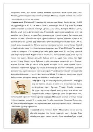 хоорондох намаг, нуга бүхий хонхор хөндийд нутагладаг. Халх голын дээд хэсэг
Нөмрөг, Дэгээ голуудын савд байнга нутагладаг. Монголд хандгай ангахыг 1953 оноос
эхлэн хуулиар хориглон дархалсан.
-Цоохор ирвэс /Uncia uncial/- Махчдын баг, муурын овог бөгөөд биеийн урт нь 110-130
см, сүүлний урт нь 92-105 см, жин нь 20-40 кг, намхан урт биетэй. Хар толбо бүхий хар
саарал өнгөтэй. Хэвлийдээ толбогүй. Дундад Ази, Өмнөд Сибирьт, Монгол Алтай,
Говийн алтай нуруу, Алтайн өвөр говь, Өмнөговийн зарим уулс хангайн гол нурууны
өвөр бие хэсэг, Хөвсгөл нуураын баруун талын өндөр уулсаар тархжээ. Эмэгчин нь жил
өнжиж төллөнө. Монголд амьдардаг араатан амьтдын дундаас хамгийн хүчирхэг нь
цоохор ирвэс юм. Дэлхий дээр ердөө 3500 орчим цоохор ирвэс байдгаас 1000-1200 нь
манай оронд амьдардаг юм. Иймд уг амьтныг хамгаалж үлдэх нь монголчуудын бидний
дэлхий нийтийн өмнө хүлээсэн томоохон хариуцлага юм. ЗГ-ын 2005 оны "Ан амьтны
эдийн засгийн үнэлгээ"-гээр цоохор ирвэсийн эрийг дөрөв эмийг 5.2 төл буюу гүенг 6.8
сая төгрөгөөр үнэлжээ. Хэрвээ агнасан тохиолдолд энэ төлбөрийг хоёр дахин нугалж
төлнө гэж заажээ. Цоохор ирвэсийг байгаль дээр нь харах хувь тохиол хүн бүрт
олддоггүй юм. Цоохор ирвэс байснаар тухайн эко систем тогтвортой, эрүүл болохыг
илтгэж буй юм. Мөн уг амьтан олон хүний анхаарал татдаг учир түүнийг судлах,
хамгаалах зорилготой хүмүүс их байдаг. Ингэснээр уг амьтныг хамгаалах, судалгаа
шинжилгээнд зориулсан мөнгө нилээд орж ирдэг. Үүний тодорхой хувийг орон нутгийн
иргэдийн амьжиргааг дээшлүүлэхэд зарцуулж байгаа. Нэг ёсондоо олон улсын донор
байгууллагын анхаарлыг цоохор ирвэсээр татах том боломжтой.
                         -Хар сүүлт зээр /Gazella subgutturosa guldenstead/ - Хар сүүлт
                         зээр нь хөхтөн амьтны аймгийн нэг туурайтны баг болох
                         тугайлмайтны овогт багтана. Уулсын бэлийн хялганат,
                         баглуурт сайр, садарга бүхий дагжуур хөрст хэвгий тал загт
                         бударгана говь, сондуул бүхий бут сөөгт элсэрхэг хэсэг говь,
хотос хоолой зэрэг янз бүрийн орчинд байршдаг. Манайд их нуурын хотгорын өмнөд
хэсэг, нууруудын хөндий, Зүүн гарын говь, Алтайн өмнөх говь, Өмнөговь, Дорноговь,
Сүхбаатар аймгийн баруун хэсэг хүртэл тархжээ. Монгол улсад хар сүүлт зээр агнахыг
1965 оноос хуулиар хориглосон.
                      -Мазаалай /Ursus pruinosus Blyth/ - Мазаалай нь хөхтөн амьтны
                      аймгийн махчдын баг болох баавгайн овогт багтдаг. Говь
                      цөлийн хадат уулс, хавцал хөндийд булаг шанд баянбүрд, задгай
 