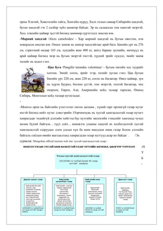 орны Хэнтий, Хөвсгөлийн тайга, Хангайн нуруу, Халх голын саваар Сибирийн хандгай,
буган хандгай гэх 2 салбар зүйл цөөвтөр байдаг. Эр нь салаассан том хавтгай эвэртэй.
Хөл, хэвлийн цайвар зүстэй бөгөөд цөөнөөр сүрэглэдэг амьтан юм.
-Мөрний хандгай /Alces cameloides/ - Хар мөрний хандгай нь бугын овогтон, нэн
ховордсон амьтан юм. Онцог шинж нь шивэр хандгайгаас арай бага. Биеийн урт нь 276
см, сэрвээний өндөр 165 см, хүндийн жин 400 кг, жигд бараан зүсмийн, мөчнүүд нь
арай цайвар бөгөөд эвэр нь бугын эвэртэй төстэй, түүний эрийг сүндэс, эмийг манж
төлийг нь ходол гэнэ.
                      -Цаа буга /Pangifer tarandus valentinae/ - Бугын овгийн хос туурайт
                      хөхтөн. Эмийг согоо, эрийг этэр, төлийг хугаш гэнэ. Цаа бугын
                      биеийн урт 220 см, жин 220 кг, согоо нь багавтар. Өвөл цайвар, зун
                      нь хүрэн буурал, богино үстэй, том эвэртэй, толгой багавтар, чих
                      охорхон, Европ, Ази, Америкийн хойд талаар тархсан, Өмнөд
Сибирь, Монголын хойд талаар нутагладаг.
-
-Монгол орон нь байглийн үзэсгэлэнт онгон дагшин , хүний гарт өртөөгүй газар нутаг
ихтэй бөгөөд нийт нутаг дэвсгэрийн 15орчимхувь нь тусгай хамгаалалтай газар нутагт
хамрагддаг төдийгүй дэлхийн хийгээд бүс нутгийн экологийн тэнцлийг хангахад чухал
нөлөө бүхий байгаль , түүх соёл , шинжлэх ухааны онцгой ач холбогдолтой тусгай
хамгаалалтай газруудыг олон улсын хүн ба шим мандлын нөөц газар болон дэлхийн
байгаль соёлын өвийн жагсаалтанд хамрагдсан газар нутгууд асар их байдаг .         /Эх
сурвалж: Mongolian official tourism web site/ тусгай хамгаалалттай газар /
                                                                                         -Н
                                                                                         Ү
                                                                                         Б
                                                                                         -
 