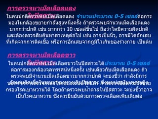 การตรวจหาเม็ดเลือดแดงในปัสสาวะ ในคนปกติตรวจพบเม็ดเลือดแดง  จำนวนประมาณ  0-5  เซลล์ ต่อการมองในกล้องขยายกำลังสูงหนึ่งครั้ง ถ้าตรวจพบจำนวนเม็ดเลือดแดงมากกว่าปกติ เช่น มากกว่า  10  เซลล์ขึ้นไป ถือว่าไตมีความผิดปกติ และต้องตรวจสืบค้นหาสาเหตุต่อไป เช่น อาจเป็นนิ่ว ,  อาจมีไตอักเสบที่เกิดจากการติดเชื้อ หรือการอักเสบจากภูมิไวเกินของร่างกาย เป็นต้น การตรวจหาเม็ดเลือดขาวในปัสสาวะ ในคนปกติตรวจพบเม็ดเลือดขาวในปัสสาวะได้ ประมาณ  0-5  เซลล์ ต่อการมองกล้องจุลทรรศน์หนึ่งครั้ง เช่นเดียวกับเม็ดเลือดแดง ถ้าตรวจพบมีจำนวนเม็ดเลือดขาวมากกว่าปกติ จะบ่งชี้ว่า กำลังมีการอักเสบติดเชื้อในระบบของทางเดินปัสสาวะ ซึ่งพบบ่อยในเพศหญิง นอกจากการตรวจกรองโรคของระบบไตแล้ว การตรวจปัสสาวะยังช่วยกรองโรคเบาหวานได้ โดยถ้าตรวจพบน้ำตาลในปัสสาวะ จะบ่งชี้วาอาจเป็นโรคเบาหวาน ซึ่งควรยืนยันด้วยการตรวจเลือดเพิ่มเติมต่อ 