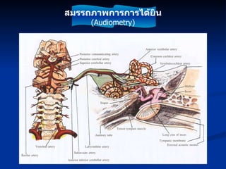 สมรรถภาพการการได้ยิน (Audiometry) 