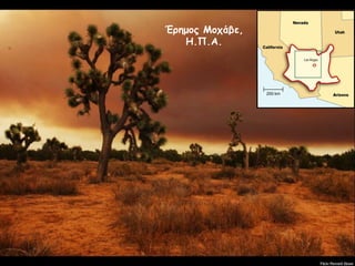 Έρημος Μοχάβε, Η.Π.Α. 