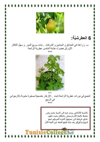 درس التكاثر عند النبات الزهري   علوم  الحياة و الأرض - الثامنة أساسي   الآنسة سارة 