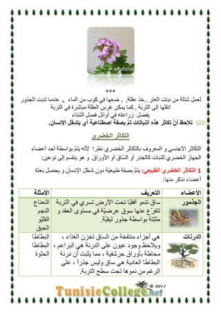 درس التكاثر عند النبات الزهري   علوم  الحياة و الأرض - الثامنة أساسي   الآنسة سارة 